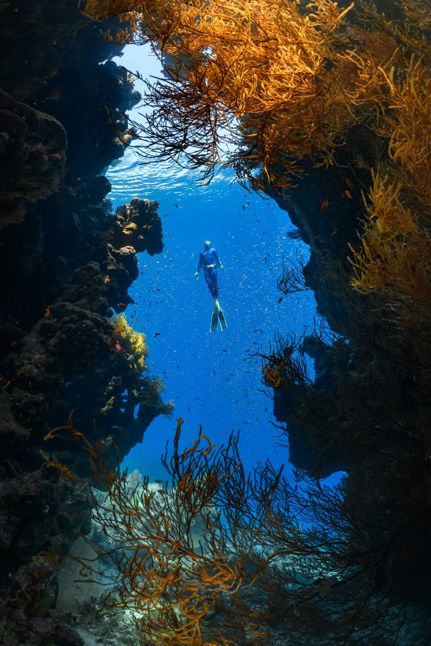 Buceo alrededor del mundo